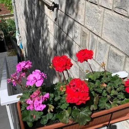 2 - Double With Shared Bathroom 1 - 4 Dubrovnik